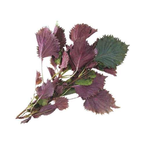 ����һ���ʡ���������Ҷ ˳�� ���ʴ��˾Ƶ���Ϻз����ȥ���� 250g 21.8Ԫ��2��(��10.9Ԫ/��)