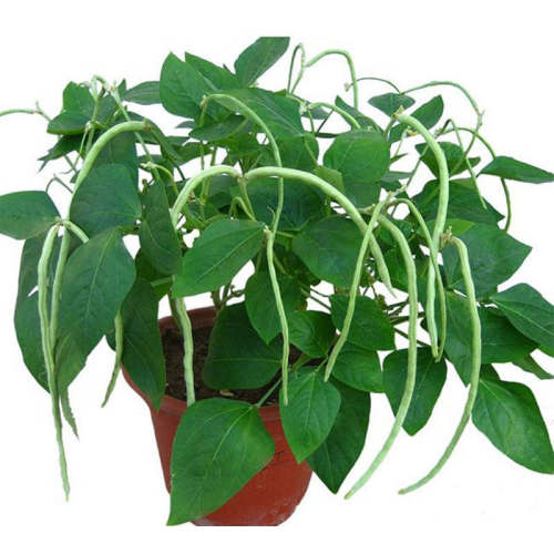 �޼ܶ�ԭ��װԼ50�� �޼ܶ����Ӳ����������̨���＾ 3.58Ԫ