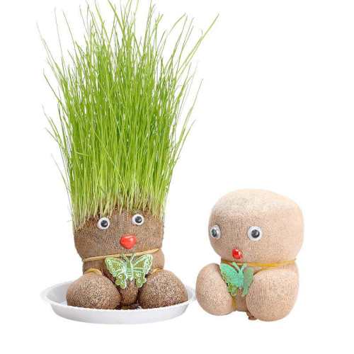 ��ͷ����1������1���+1���У�. ͷ�ϳ�������ˮ�����׶�԰ 6.21Ԫ