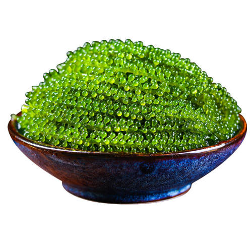 ��֪�����պ����Ѽ�ʳ��������������ȹ���˺����߲˺��ݺ��� 100g ������1�� 17.5Ԫ