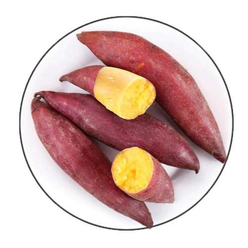 ��С��ɳ��С�������ڰ�����������ũ������С�����ع����� 5�� С�� 92.2Ԫ��4��(��23.05Ԫ/��)