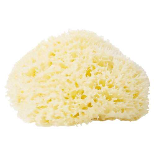 ���Ѻ���A��8cm ϣ�����ڱ���˿��Ȼ���������׷� 64.8Ԫ