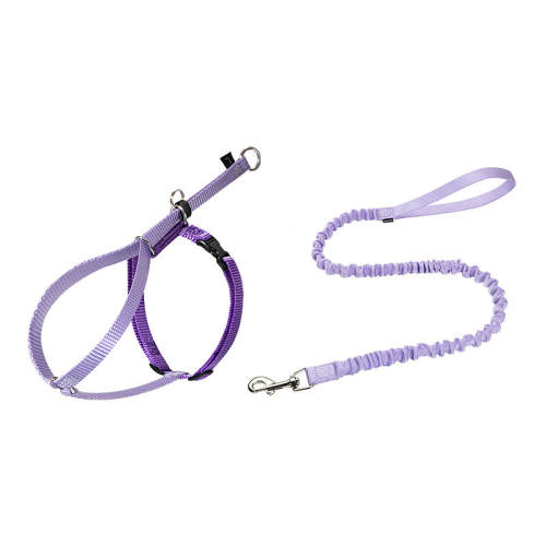 ��ɫ 1-5�� è��ɵ���ǣ���������� 42.8Ԫ