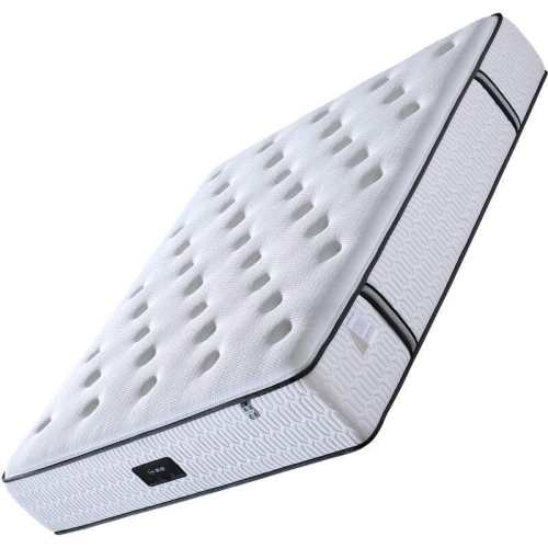 1000mm*1900mm �Ϻ�֮��A20����Ӳ���У�������������+����˹������+������+18cmר��˫�һɡ�20CM��� ������Ȼ�齺ϯ��˼���浯��Ҭ�� 1256.3Ԫ(������)