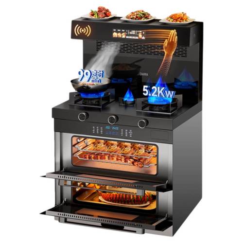 ��Ȼ�� �����¿�˫����AKZ08C �������� �¹�CIARRA�����������¿������� 8980Ԫ(������)