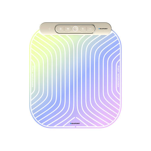 BP-ZD01 ���ܱ�Яʽ�ŵ��㲿��Blaupunkt 248.2Ԫ(������)