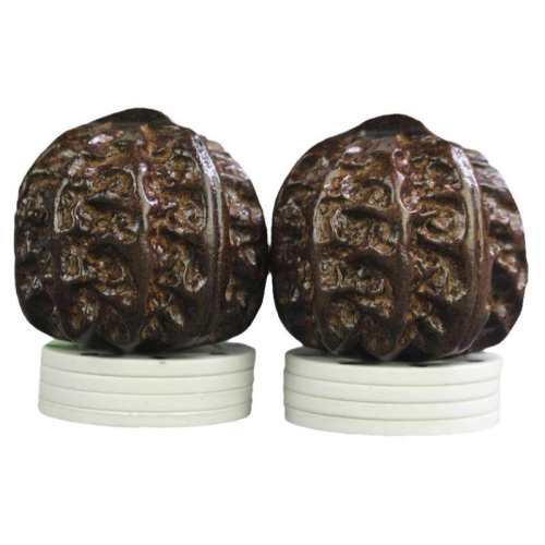 ����ľ����������һ������ ����ľ������ת��Ħ���������� 19.8Ԫ