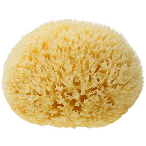 ����B��8-9����Ӥ��ϴͷ��ϴ�� ������ŵ��Ȼ����ϴ��ϣ������ 35.1Ԫ