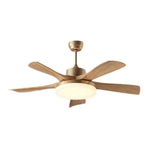 ��ƾ�ѡ��һ����������è���ȵ��ƣ�����˫�ھ� ���ȵ��ƿ������Ҿ���ȫ���׻��� 339.24Ԫ(������)