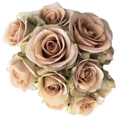 ʧ��1���ش����غ� ���� ʧ���л��¼�����ɫ���� 50.4Ԫ��2��(��25.2Ԫ/��)