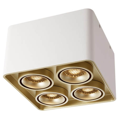 �����ơ�ů�ƹ� ��38�� ��װ �¹�����ȫ���׷�ѣ���۶����� 249.9Ԫ(������)