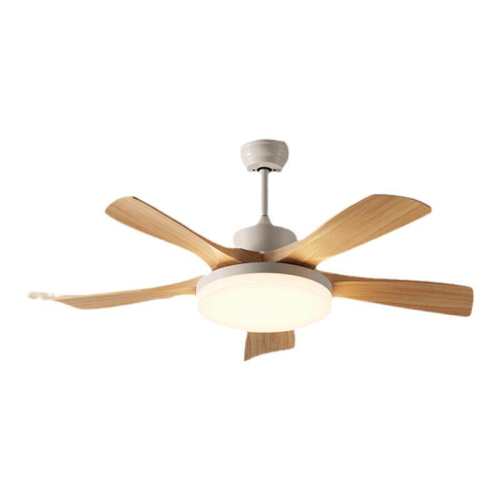 ��ƾ�ѡ��һ����������è���ȵ��ƣ����ȵ�˫�ھ� ������ȵƵ��ȵƾ������� 339.24Ԫ(������)