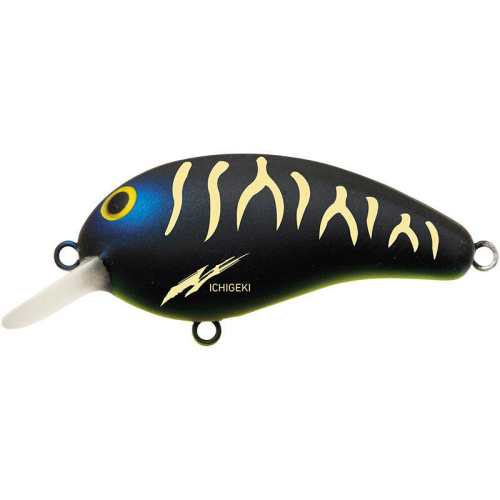 �����ӡ�9�ˣ�������SR BLACK CHART BELLY ������·��ˮ��ϵ�������ŵvib