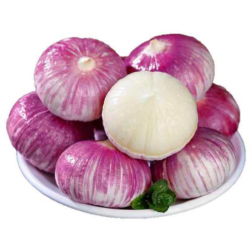 2026��ũ����Ƥ��ͷ���Ƥ��������´�����������ʪ���߲˷Ǹ��� 1�� ���飨ֱ��2.0cm���£� 10.8Ԫ