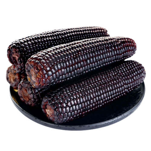 ��ͷ���Գ�����Ŵ����250gX5�� ��� 2025���ʶ�����Ŵ���� �������� 15.9Ԫ