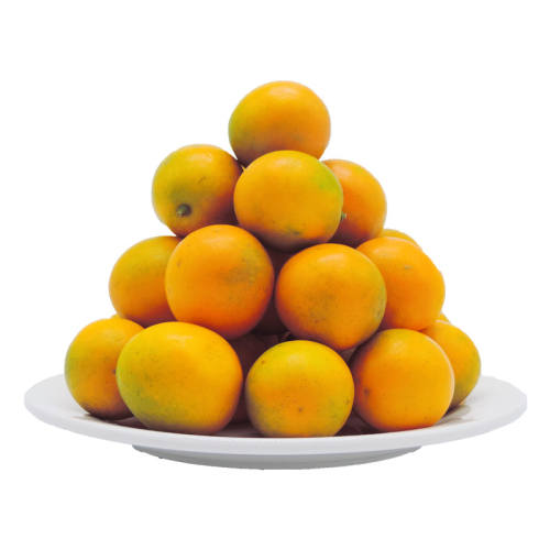 ���ڹ����ڰ����۽�̵����������ժ���ʴ���ˮ����в�װ�װ 5�� ����حС��34-45��/�����ͷƫС���Լ۱ȸ� 79.2Ԫ