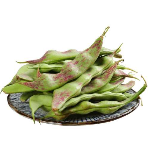 �����Ͷ�����ժ�����߲�����һ����Ͷ��Ǿ�����������������10 500g 9.8Ԫ