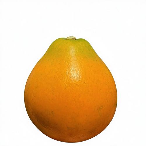 �����ڰ����۽��С��۴��۽�̴����֭Ƥ��������ժ˳�ᷢ 2�� miniС����30������/� 107.01Ԫ��3��(��35.67Ԫ/��)