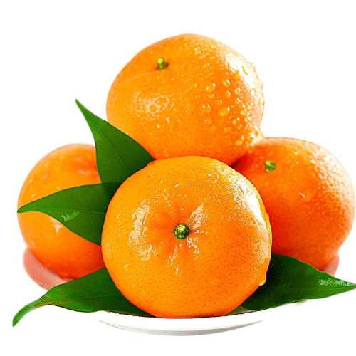 ���������ָ�����ˮ�������������10ɳ�ǽ�����ɰ�Ǹ��ٽ�����5 3�� ����С��������55-60mm����С�����Ƽ������� 19.4Ԫ��4��(��4.85Ԫ/��)