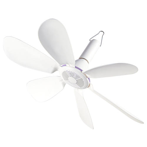 �¿�˹С����С������΢���������ʹ�ʽ������������ȼ��ô���� 3Ҷ�ػݿ������С-���Ƽ��� 19.9Ԫ