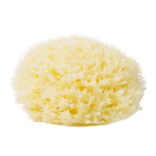 ���Ѻ��� B��7cm ����˿ϣ��������Ȼ���������׷� 38.7Ԫ