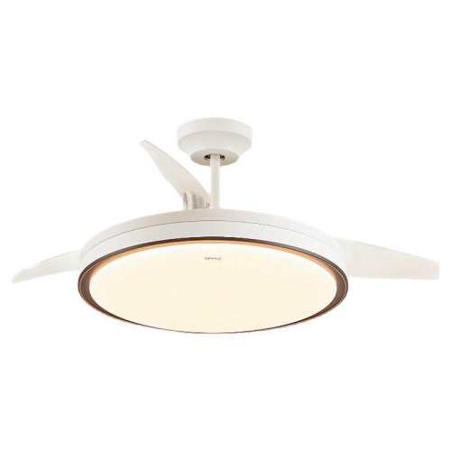 �ۻ��㣺1����ȫ����һ����Ч-�ǻ۹⡿36��54�� �� ŷ�����η��ȵƵ��ȵ�2025�¿� 653.28Ԫ(������)