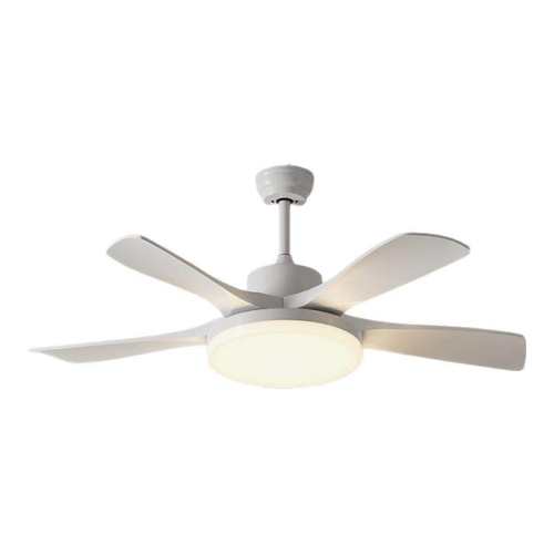 ��Ҷ42���Ƶң�ء����ƿ�ʽ�� �����Լ�ִ����ͷ���ȵƼ��� 270.99Ԫ(������)