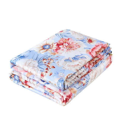 152x210cm��������1.2m���� �ı���60S��˿+��ˮϴ+�߿��־������� ������60S��������ά��ˮϴ�ı� 245.65Ԫ(������)