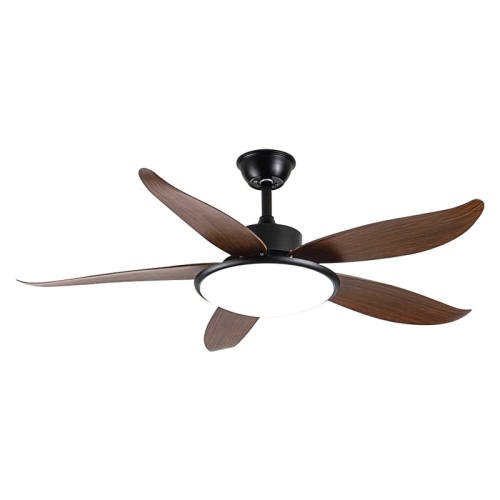 ��ʯ�Ʒ��ȵ�2026���¿���ȵƼ���һ����ƿ������������ȵ���� �����˿��Ƶ48��3Ҷح��ɫ6��ң�� 228.65Ԫ(������)