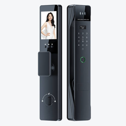 ���ڲ�������������塾��������+�뵼��ָ��+��ʱ���롿 ��̫̫?˫����������-����15%424.15Ԫ(������)