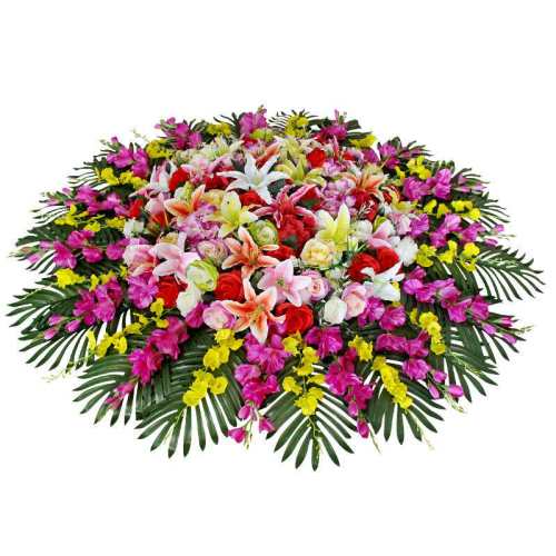 ?��ĿTOP/��׼Ʈ����Ʒ���б��ϣ� Բ�ε綯ת��װ��Ʒ��������� 145.43Ԫ