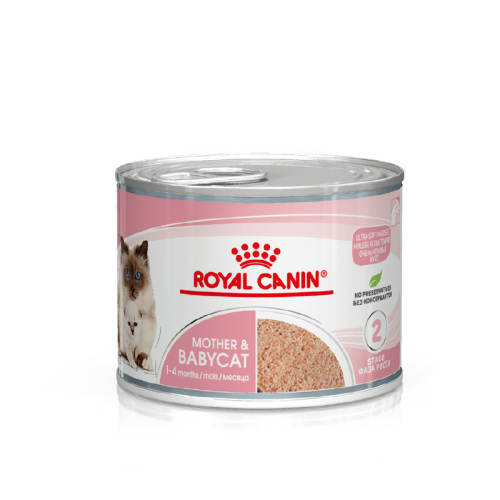 ����ζ 390g �ʼ��������̸��ͷèʪ��ȫ�� 56.24Ԫ(��88VIP 95��)