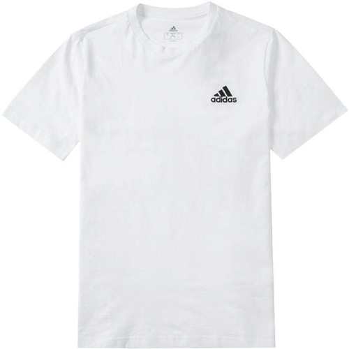 IB7915 S ���ϴ�˹�ٸɶ�����ʿT���¿����±������Ůʿ����T��IC9286 89Ԫ