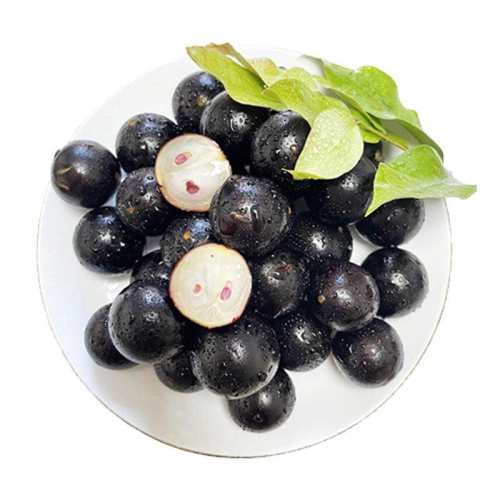 ˳����ʼα���������5������ˮ���������Ӵ�������и��ʹ����9 2�� 4-6g ��Ʒ�α��� 94.67Ԫ