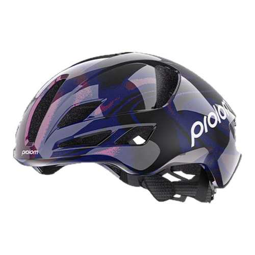 PROLOM����ķ�¿��Ʒ�ͷ������M 21�����޺�  422.27Ԫ