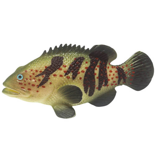 ����轺ʯ�����ͯ��ߺ���ģ�͹轺���Ӭ  7.48Ԫ