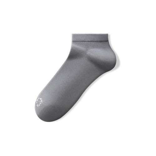 ����֮����ʿ���������������ӡ�10A����������Ͳ�ࡿ��5 ����  170.65Ԫ��5��(��34.13Ԫ/��)