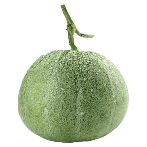 �����ձ��������������������߲��̱��Ϸ���ϴ�����Ʒ�ִ�ȫ��������� 100��ԭװ  4.3Ԫ