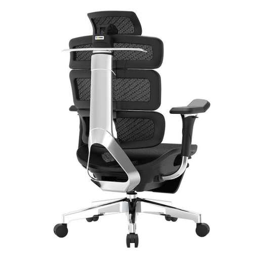 Ergomax���������幤ѧ������ [������] ���Ͻ�� ��ת��������  1979.65Ԫ(������)