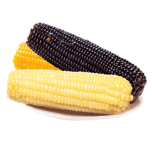 �������ֱ�����ֻ���ҹ�����Ƕ����л���Ŵ��������ճ������� ����ѡ ������л���Ŵ����2.5Kg/������10���� 31.8Ԫ