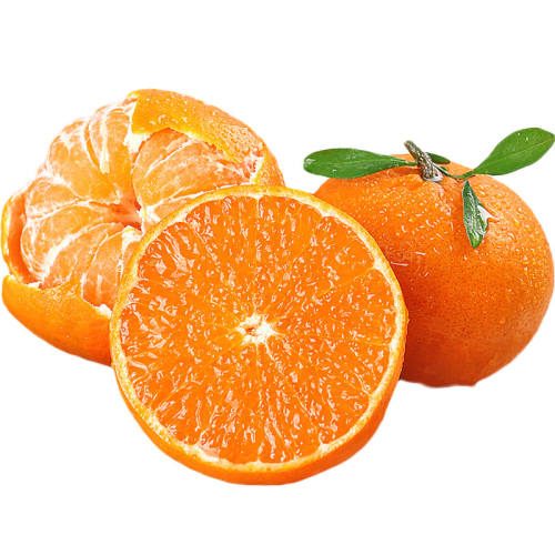 ���������ָ�10����ˮ�������������ɰ�Ǹ��ٴ��������һ������ 4.5�� ��5AƷ��С��װ��60mm-65mm 13.8Ԫ