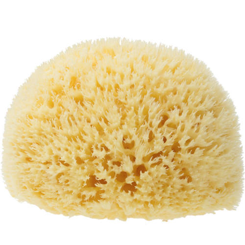 ������ŵ��Ȼ����ϴ����ԡ���š�B��14���׷��Ѻ����š�  284Ԫ��2��(��142Ԫ/��)