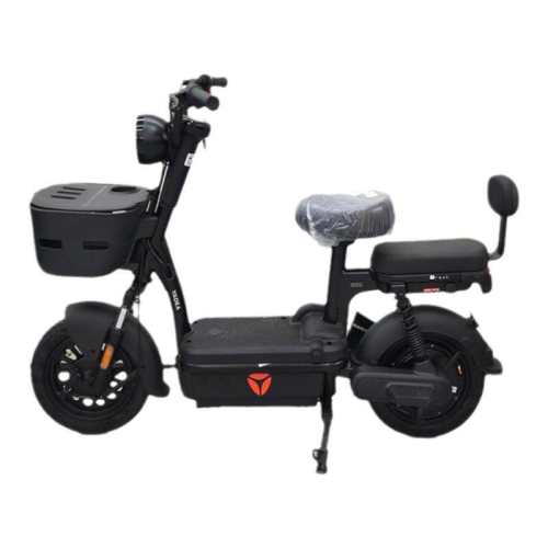 �ŵ����г�48vǦ��ʯīϩ����48V 21ah �¿�c12-G�������  1999Ԫ