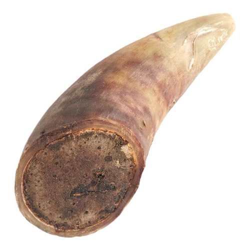 �����Ƽ���0����ĥ����ţ�ǡ�1����С��ţ�� ������ţ���� /��ҧ����θ���ʺ�С��Ȯ�� 1��  6.8Ԫ