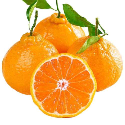 �Ĵ���֪�����ˮ������������ʱ�������ӰҰ����γ������ 2�� ��С�������ӹ���65-70mm 6.8Ԫ