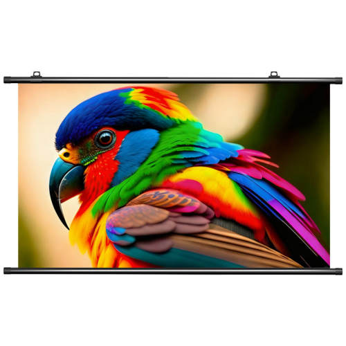 ���׼��׿��ƶ�ͶӰĻ��XN-���ӡ�8K�׾����ڹ�Ļ�� 60Ӣ��  80.08Ԫ(������)