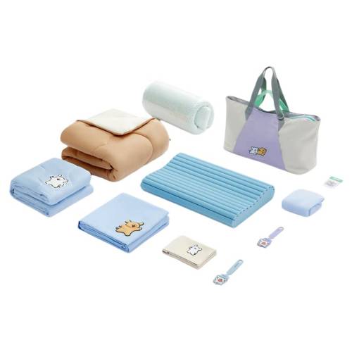 �ɵ�����25�ѧ��Ʒ��װ����������-ɺ����������+����+���ң� 80x190CM  322.15Ԫ(������)