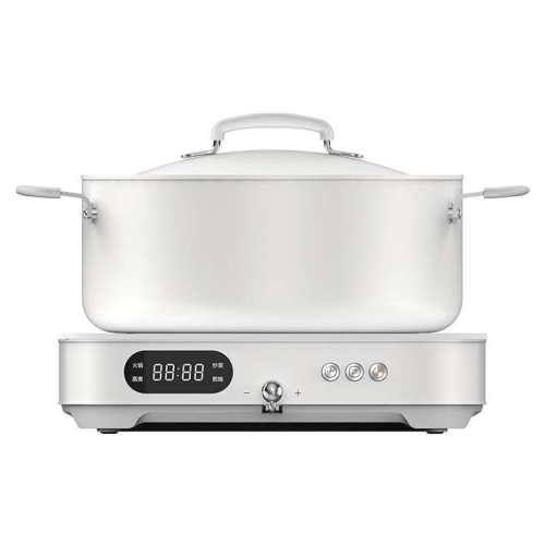 ��֥С�ż���������¯�๦��С�����ܴ��ʳ��˹���ȫ���¿� ��ɫ 551.85Ԫ(������)