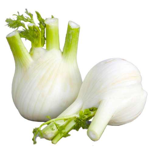 �ٹ������������������������ 6��  8.6Ԫ