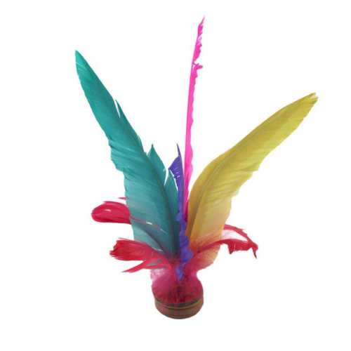 �Ͽ�ٯ�������ֽ���ѧУeyeg��Ӳ�ɫ  9.9Ԫ